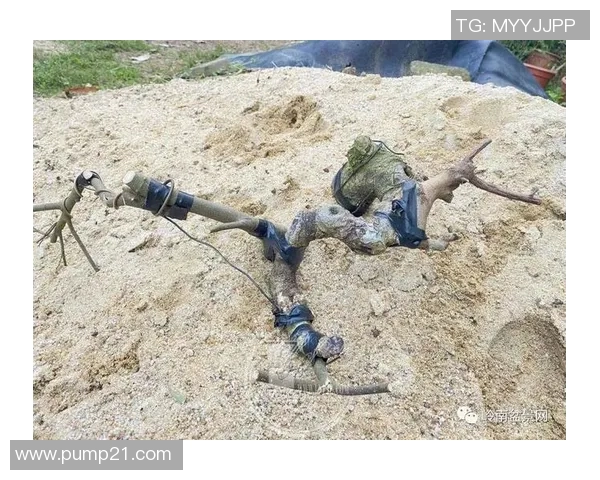 成都极限运动队耐力之争引发热议运动员表现与训练方式的深度探讨