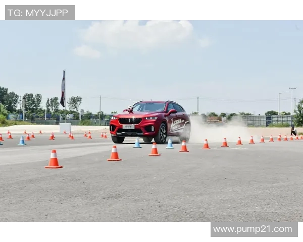 武汉乒乓球队转型之路的挑战与机遇全景观察