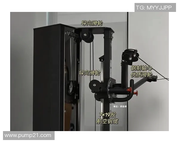 飞鸟健身器材应用及滑轮系统优势解析
